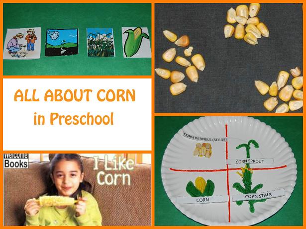 All about corn in preschool