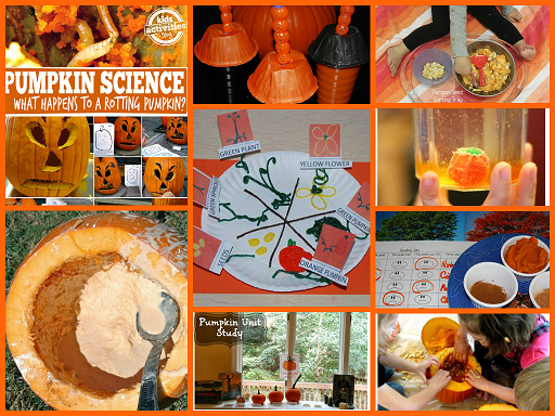 Pumpkin Science Activities for Preschool