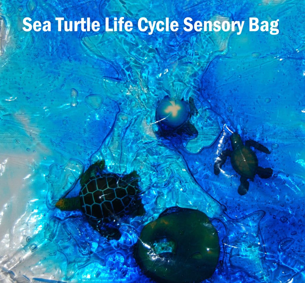 Sea Turtle Sensory Bag_1