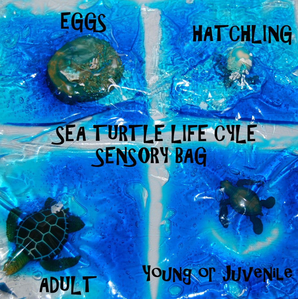 Sea Turtle Sensory Bag