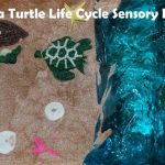 Sea Turtle Life Cycle Sensory Bin