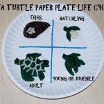 Sea Turtle Paper Plate Craft #2