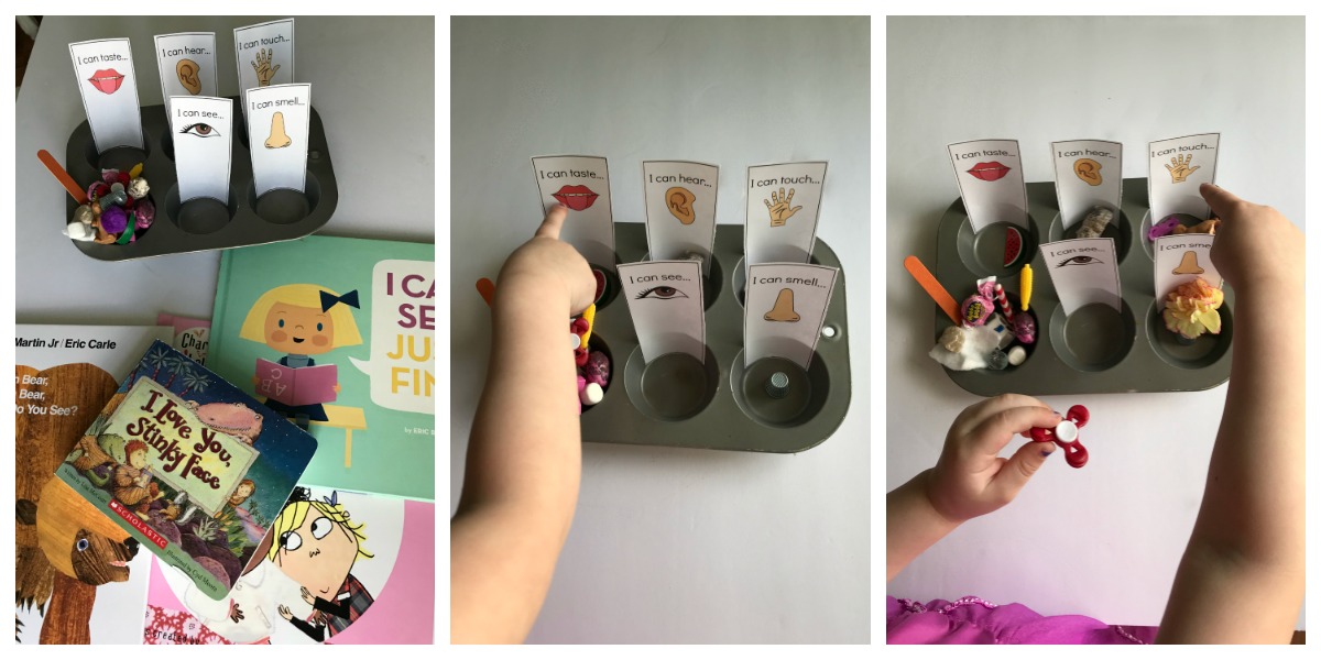 Come play with a sensory sorting activity designed to help preschoolers learn about the 5 Senses.