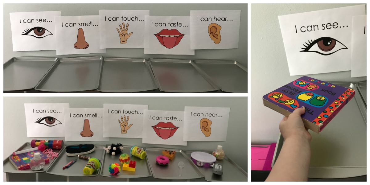 Explore the 5 Senses in Preschool with a Scavenger Hunt