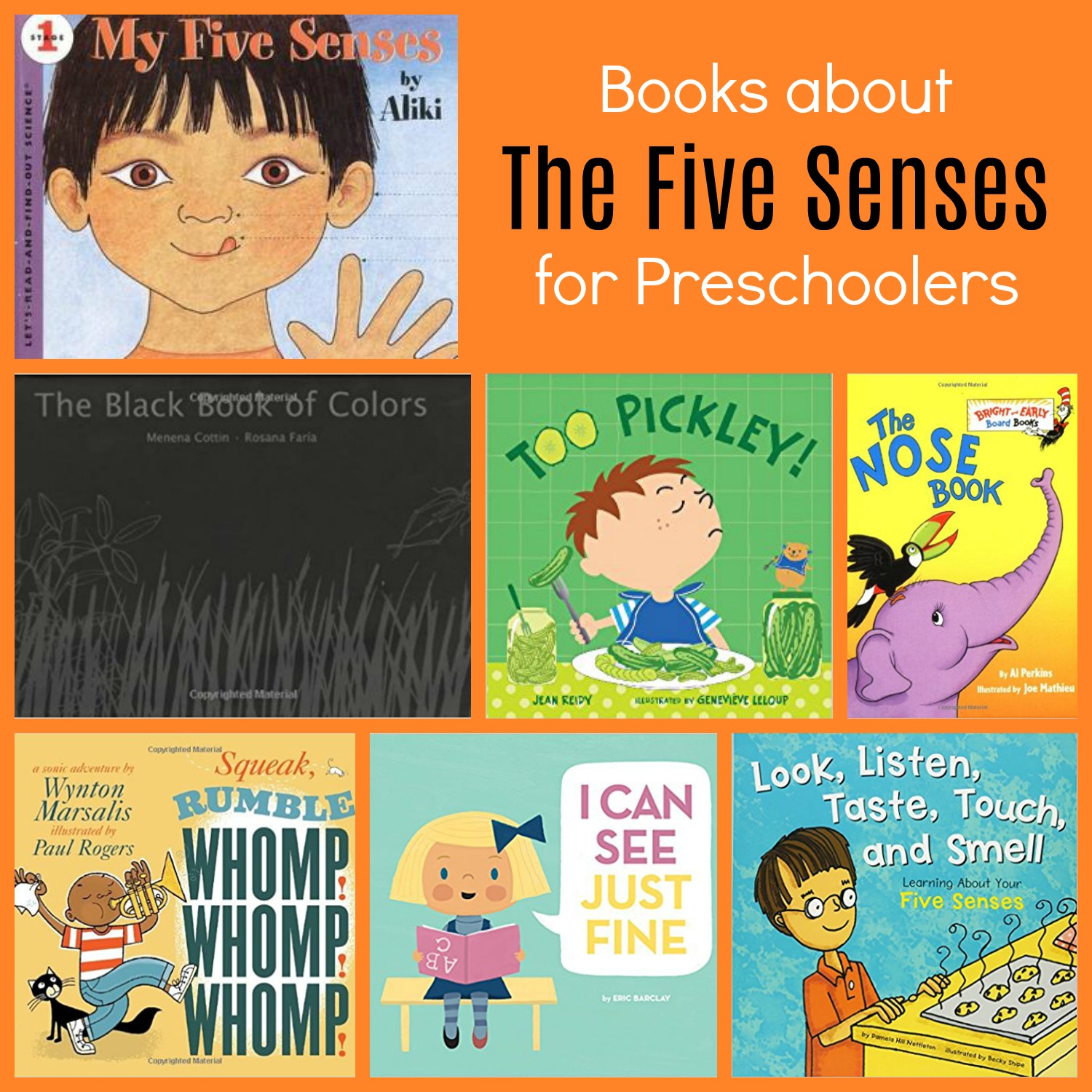 Books about the 5 Senses for Preschool