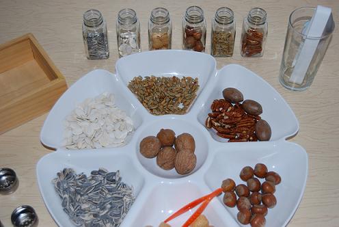 Nuts and Seeds Cracking and Sorting