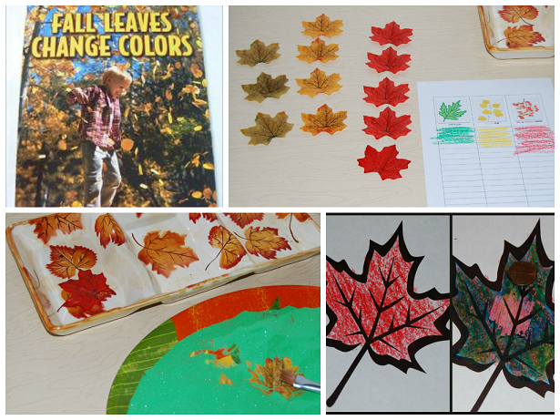 Fall Leaf Activities for Preschool