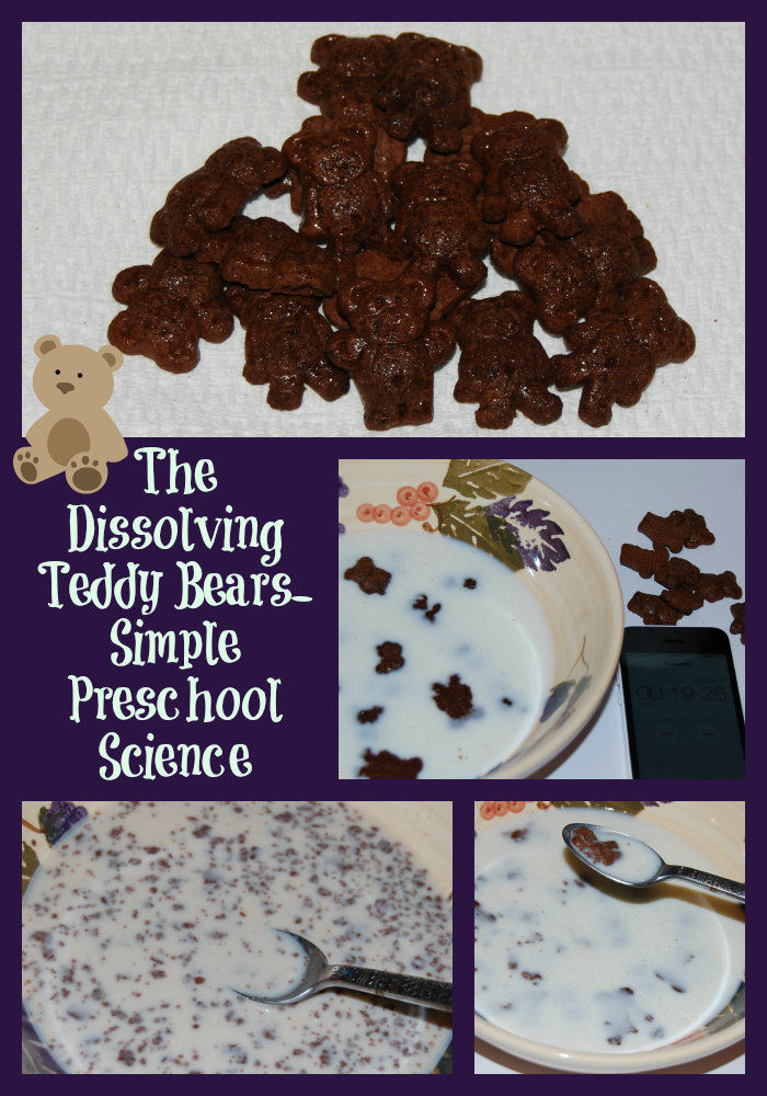 Dissolving Teddy Bears Science for Preschool