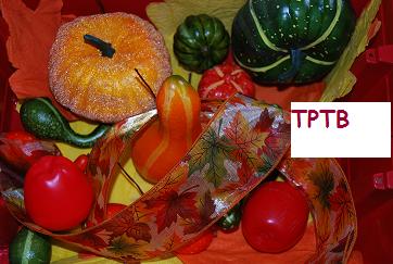 Fall Sensory Bins for Preschool, PreK, and Kindergarten