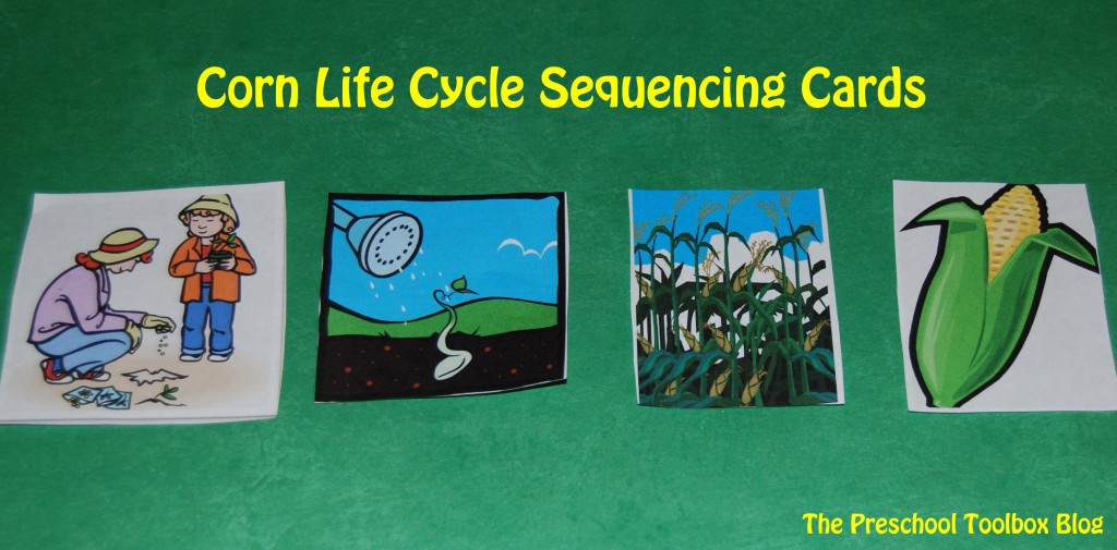 Corn Life Cycle Sequencing Cards