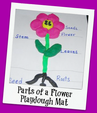 Parts of a Flower Playdough Mat Activity for Preschool